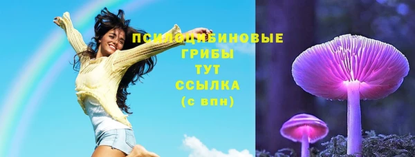 амф Козельск