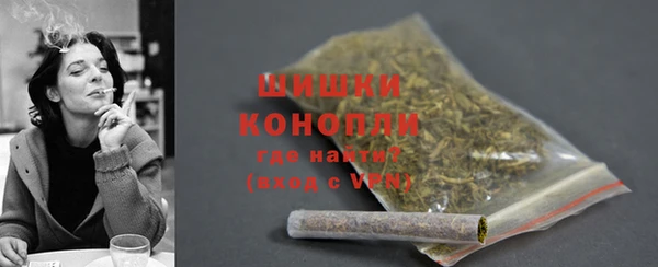 индика Кодинск