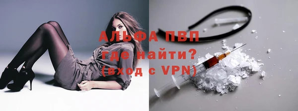индика Кодинск