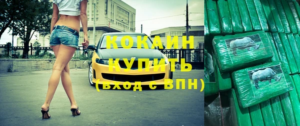 амф Козельск