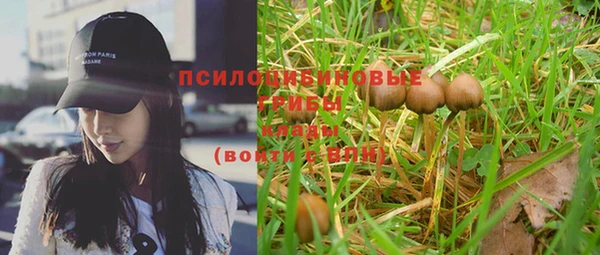 МДПВ Козловка