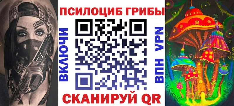 Галлюциногенные грибы Psilocybe  Купить где  Богородск 